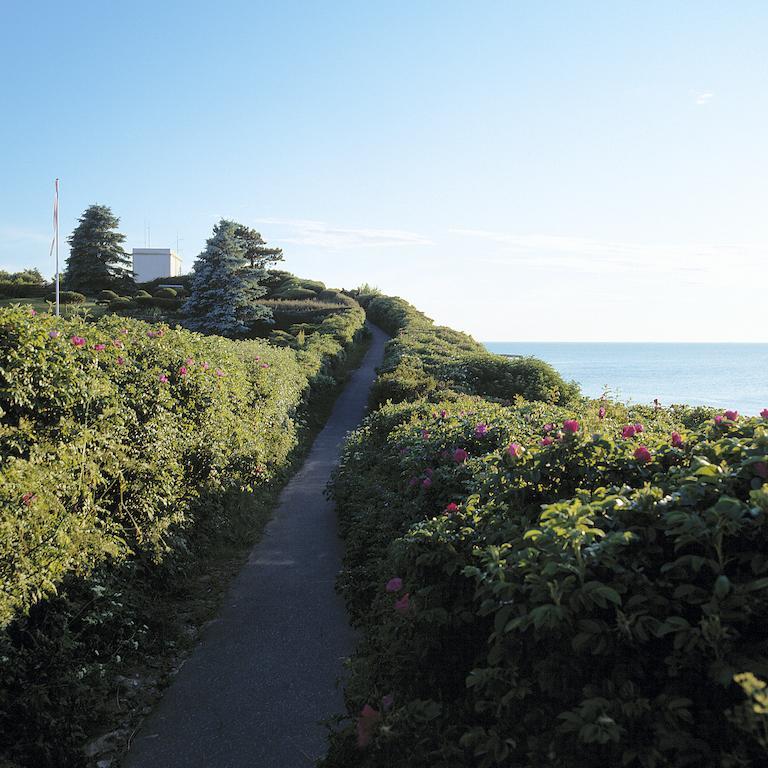 Gilleleje Badehotel Dış mekan fotoğraf